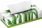 Vásárlás: Cheeky Panda Papírzsebkendő - Árak összehasonlítása, Cheeky Panda  Papírzsebkendő boltok, olcsó ár, akciós Cheeky Panda Papírzsebkendők