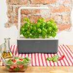 Click & Grow Smart Garden 3