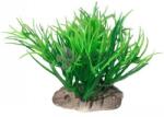  Szerteágazó, színátmenetes, zöld tengerifű akvárium dekoráció 10 cm
