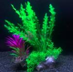  Hínár és tengerifű együttes, akváriumi műnövény talpán apró levelekkel 17 cm