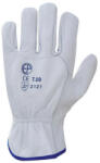 Euro Protection Bőrkesztyű, szürke színmarha tenyér és kézhát 10 (VES-2220)