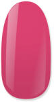 NiiZA Gel Polish 4ml - 173 - jolifodraszkellek