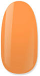 NiiZA Gel Polish 4ml - 216 - jolifodraszkellek