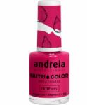 Andreia Professional Nutri Color Care & Color NC22 10,5 ml