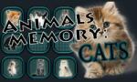 Laush Studio Animals Memory Cats (PC) Jocuri PC