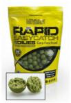 Mivardi Rapid Easy Catch bojli Garlic+Chili 24mm (M-RABOEAGCH0924)