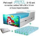 Produs in Romania Pachet Promo Creativ Ariel 2-12 Ani Cu Sertar, Saltea Cu Lana Si Husa Impermeabila - PTV4529PROSRTSMT80 (PTV4529PROSRTSMT80)