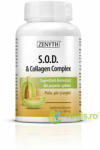 Zenyth Pharmaceuticals SOD & Collagen Complex 650mg 80cps