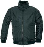 CERVA Pilot S 0301002260001