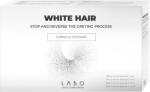 White Hair Ampullás kezelés, Őszülési folyamat leállítására és visszafordítására, férfiaknak, 20 ampulla