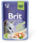  Brit Premium Cat Jelly - Trout Fillets 24 x 85 g