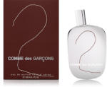 Comme des Garcons 2 EDP 100 ml Parfum