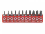 Genius Tools set de biți, T-torx (extern), 11 bucăți (SB-711TP) (MK-SB-711TP) Set capete bit, chei tubulare
