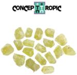  Apatit Verde cu Terminatie Intreaga Brut 8-15 x 6-10 mm - 1 Buc