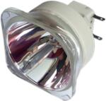 HITACHI DT01291 (CP-WX8255LAMP) lampă compatibilă fără modul (DT01291)