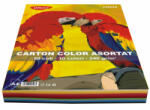 DACO Carton Color Daco CN240, A4, 50 coli, 10 culori, 240 g/mp (CN240)