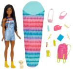 Mattel Barbie: Camping - Păpușa Brooklyn (HDF74) Papusa Barbie