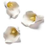 Decora Decor Zahar - Cala O 4 cm, 12 buc (500029)
