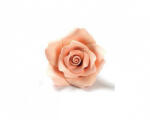 Decora Decor Zahar - Trandafiri Frez Piersica O 5 cm, 24 buc (500020)