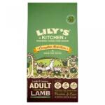 Lily's Kitchen Lily's Kitchen, hrana uscata pentru caini adulti, cu miel 12kg