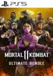 Warner Bros. Interactive Mortal Kombat 11 Ultimate Time Warriors Skin Pack (PS5)