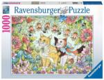 Ravensburger Kitten friendship 1000 db-os (16731)