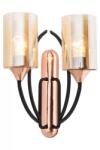 Avonni Aplica de perete Avonni AP-1660-2BSY, 60 W, Metal-sticla, Soclu E27, Negru