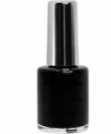 Andreia Professional Hybrid Fusion H2 10,5 ml