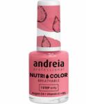 Andreia Professional Nutri Color Care & Color NC13 10,5 ml