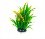 Plantă de acvariu în culori degradee de la verde la galben 20 cm