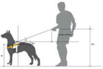 Ham Julius-K9 IDC Power negru (Mărime: Baby 1, 0.8-3 kg, 29-36 cm)