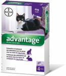 Advantage 80 - Antiparazitar pentru pisici și iepuri (între 4-8 kg) (4 buc pipetă) 4 x 0, 8 ml
