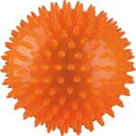 TRIXIE jucărie minge arici - Plutitoare şi portivită pentru masaj (ø 12 cm) (33652)