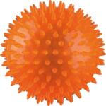 TRIXIE jucărie minge arici - Plutitoare şi portivită pentru masaj (ø 12 cm)