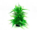 Plantă de acvariu cu alge verzi de mare cu frunze lungi 20 cm