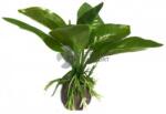 Plantă artificială pentru acvariu cu frunze verzi, late 10 cm
