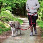 TRIXIE Dog Activity lesă de culoare roșie pentru câini de talie medie și mare cu curea de talie (Cureaua de talie: 70-120 cm lungime (reglabilă) / 40 mm lățime | Lesă: 1, 00-1, 35 m lungime / 25 mm lățime)