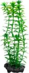 Tetra Anacharis plantă ornamentală pentru acvariu (L | 30 x 9 cm)