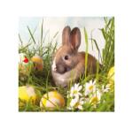  Szalvéta 1db 33x33cm Brown Rabbit, barna nyuszi (AMB.23301615)