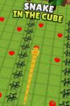 Spellnode Interactive Snake in the Cube (PC)
