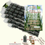 bioBúzafűlé. hu Bio Árpafűlé MegaPack