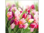 Ambiente Szalvéta 1db 25x25cm Glorious Tulips, Dicső Tulipánok (AMB.12512730)