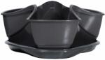 Prosperplast Coubi DKN3001