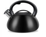 PROMIS Ceainice si infuzoare Kettle PROMIS TMC01BS AUGUSTO MATTE 3 liters INDUCTION, GAS (TMC01BS) - pcone