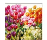 AMBIENTE Szalvéta 25x25cm 20db/csomag Tulips, Tulipánok (AMB.12514960)