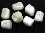  Scolecit Rulat Natural 25-31 x 20-26 mm ( XL ) - 1 Buc