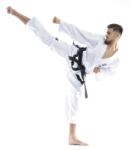  TOP TEN GOLD EDITION ITF Taekwon-do Mester ruha (16772)