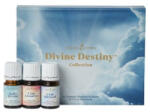 Young Living Colectia Divine Destiny (Divine Destiny Collection)