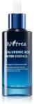 ISNTREE Hyaluronic Acid esență hidratantă concentrată 50 ml