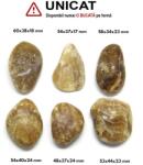 Palm Stone Aragonit Maro Natural - 48-60 x 34-44 x 17-24 mm - (XXL) - 1 Buc